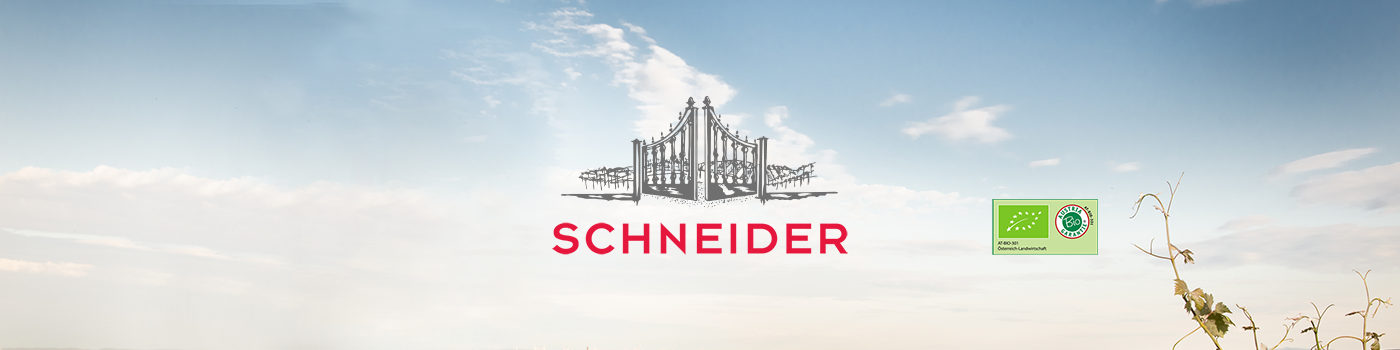 Startseite Intro Tanz Fam Schneider Himmel